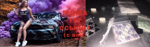 ПСИЛОЦИБИНОВЫЕ ГРИБЫ Корсаков