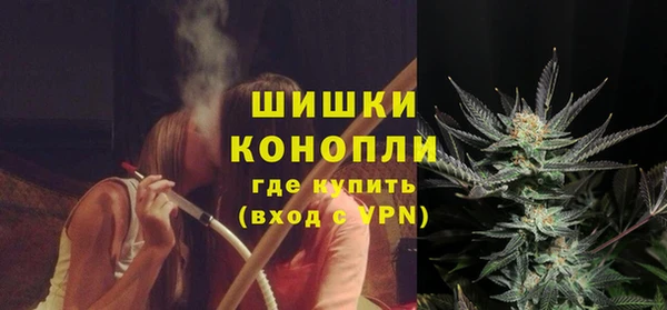 шишки Коряжма