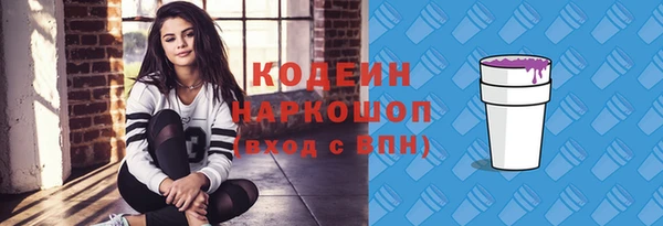 ПСИЛОЦИБИНОВЫЕ ГРИБЫ Корсаков
