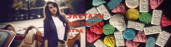 шишки Коряжма