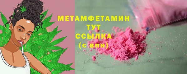 шишки Коряжма