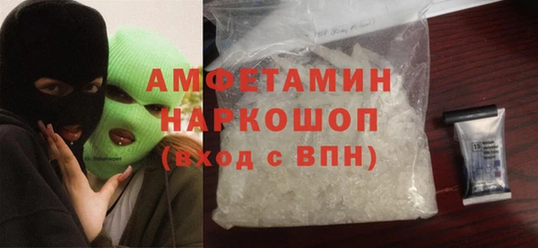 шишки Коряжма