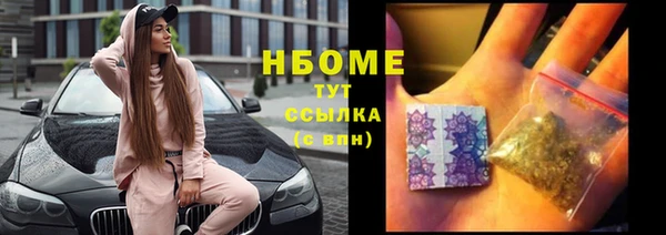 шишки Коряжма