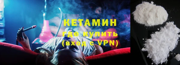 шишки Коряжма