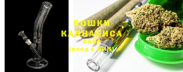 шишки Коряжма