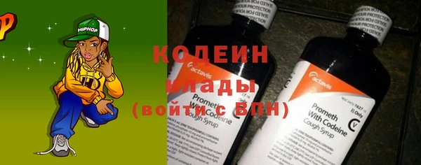 ПСИЛОЦИБИНОВЫЕ ГРИБЫ Корсаков