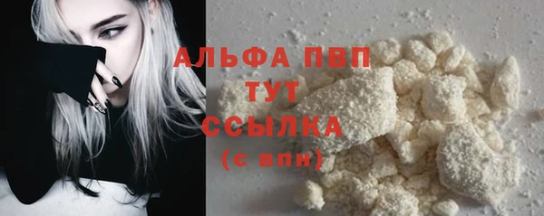 ПСИЛОЦИБИНОВЫЕ ГРИБЫ Корсаков