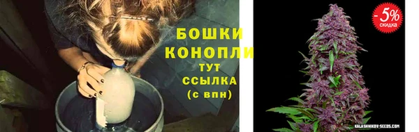 шишки Коряжма