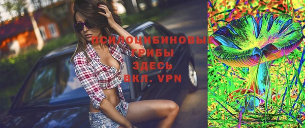 ПСИЛОЦИБИНОВЫЕ ГРИБЫ Корсаков