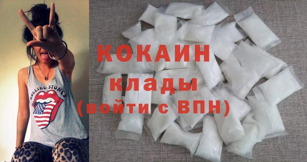 шишки Коряжма