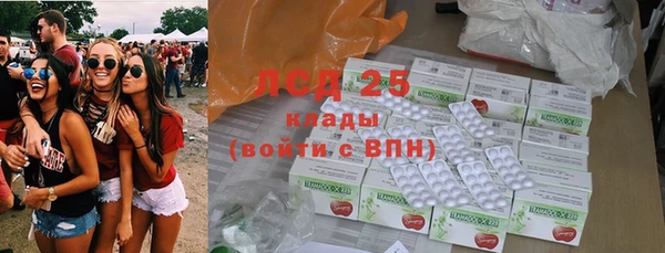 ПСИЛОЦИБИНОВЫЕ ГРИБЫ Корсаков