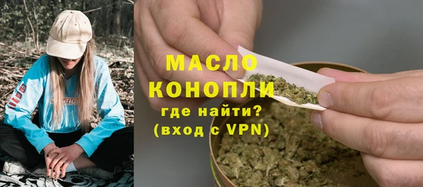 шишки Коряжма