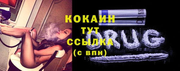 шишки Коряжма