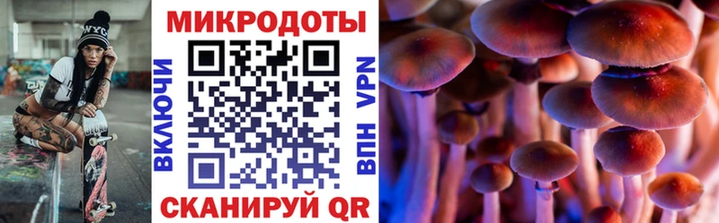 Купить  Мещовск  Псилоцибиновые грибы мухоморы 